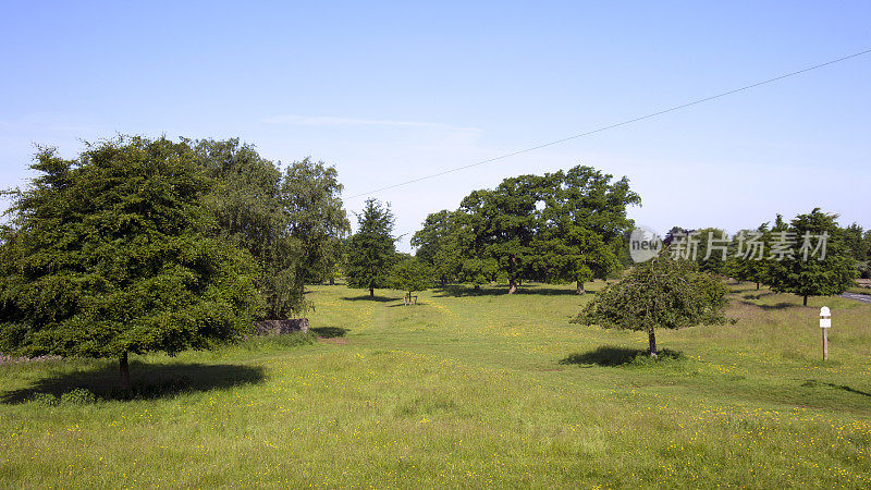 风景优美的科茨沃尔德- Minchinhampton Common